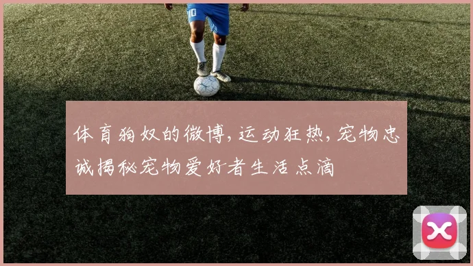 体育狗奴的微博,运动狂热,宠物忠诚揭秘宠物爱好者生活点滴
